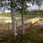Maininki