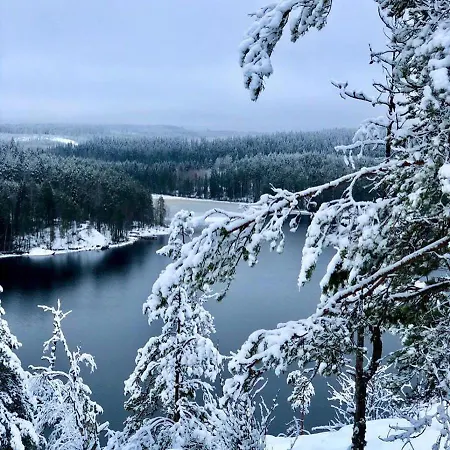 Вилла Maininki *