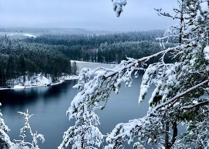 Вилла Maininki *